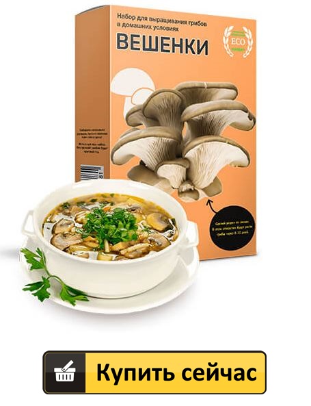 Глива звичайна (устрична) - дуже смачний з представників грибів-сапрофітів