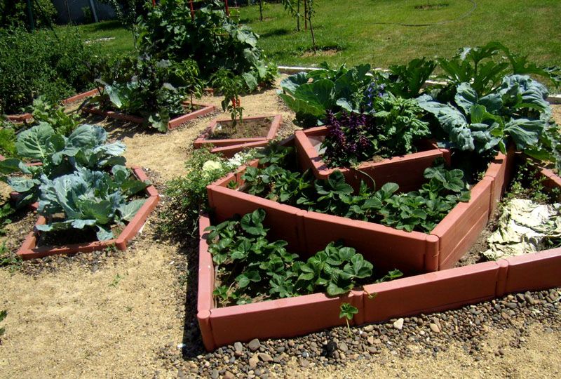 Як робити грядки на городі залежить від особливостей їх розташування, параметрів конструкцій і специфіки рослин